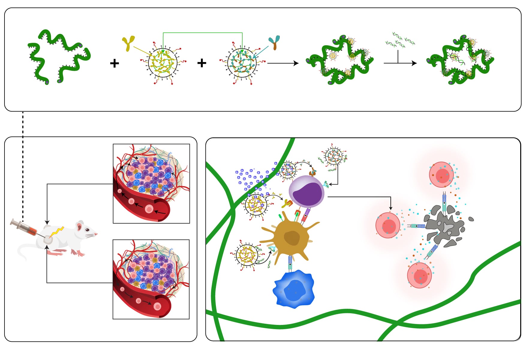 Graphical-Abstracts