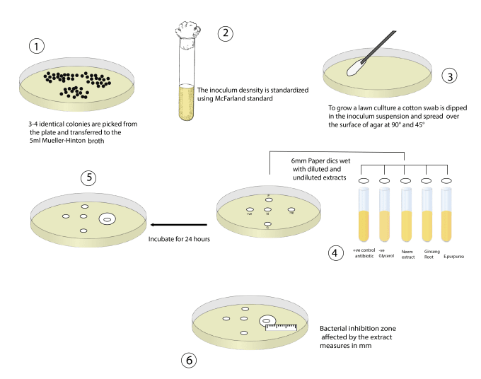 scientific-figure-review