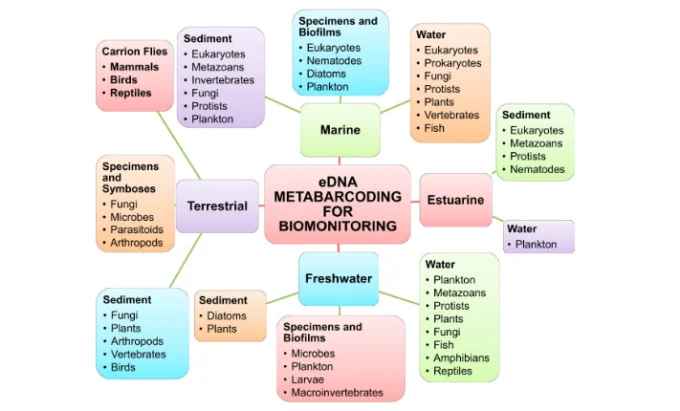 scientific-flow-chart